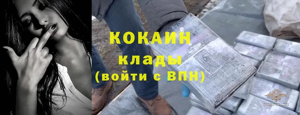 шишки Михайловск