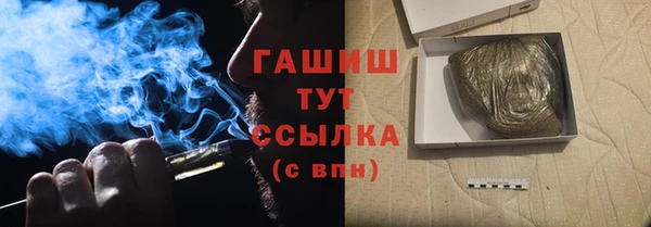 шишки Михайловск