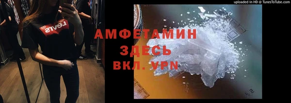 шишки Михайловск