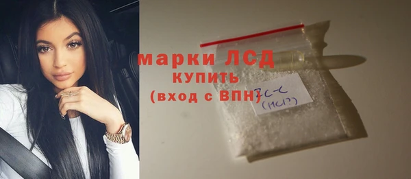 шишки Михайловск