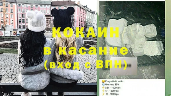 шишки Михайловск