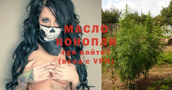 шишки Михайловск