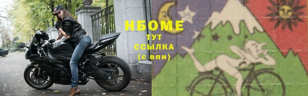 шишки Михайловск