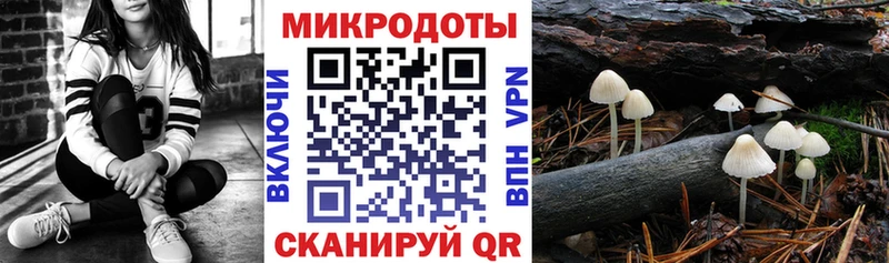 Псилоцибиновые грибы Psilocybine cubensis  Купить  Кореновск 
